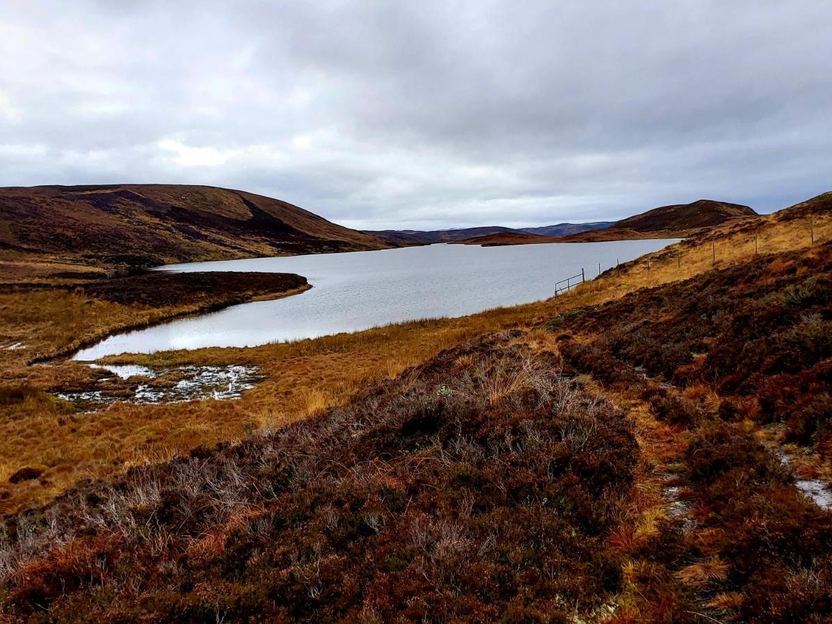 Highland Glen Lodges Rogart Экстерьер фото