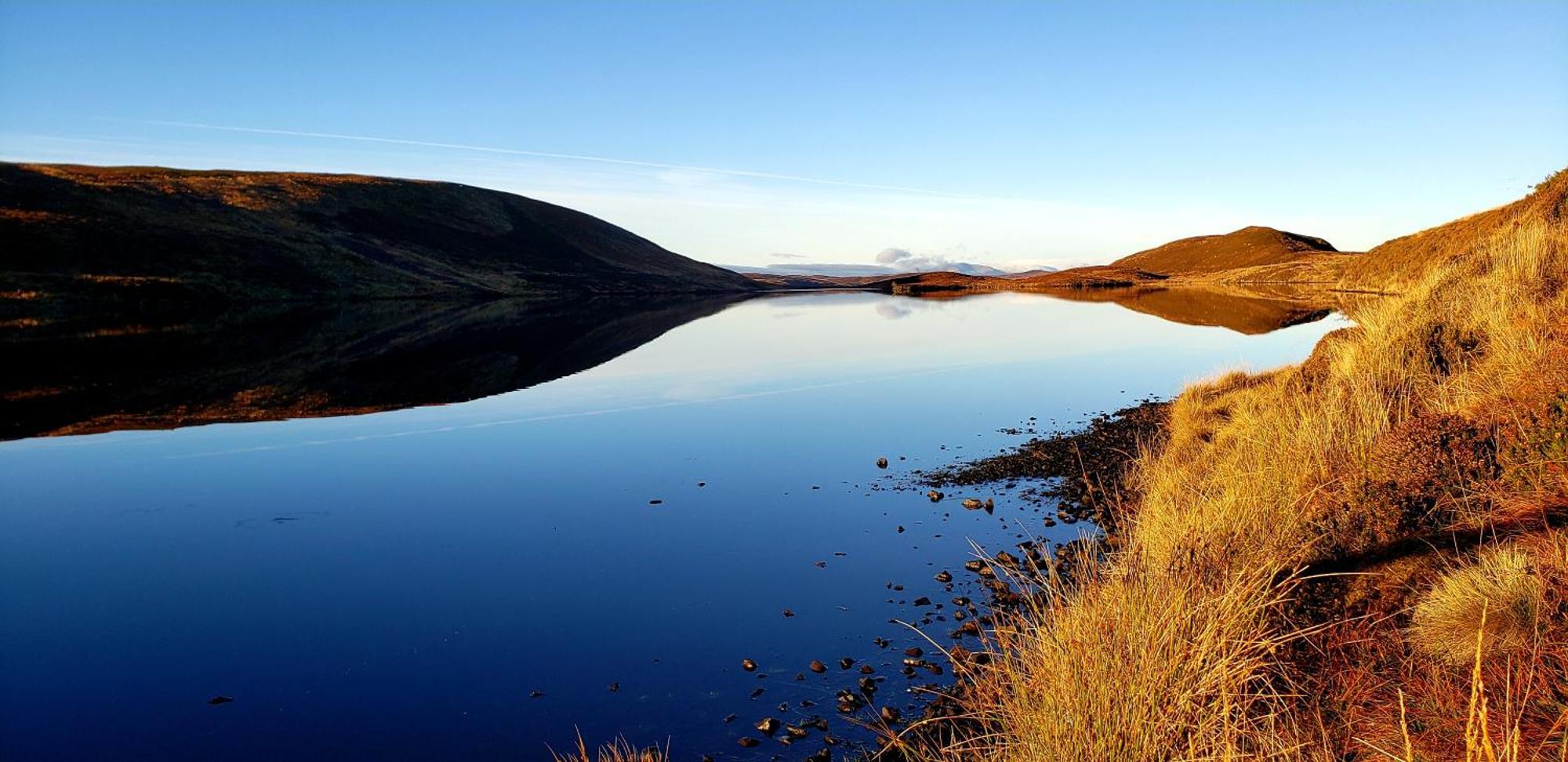 Highland Glen Lodges Rogart Экстерьер фото