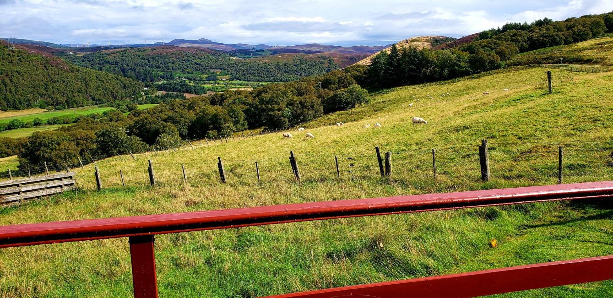 Highland Glen Lodges Rogart Экстерьер фото